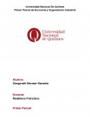 Trabajo Practico Parcial de Economia - Problematicas con licencias de conducir - Henry Coupe