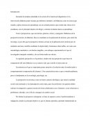 Perspectivas Teóricas