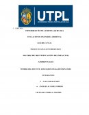 MATRIZ DE IDENTIFICACIÓN DE IMPACTOS AMBIENTALES