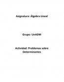 Actividad: Problemas sobre Determinante