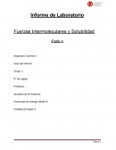 Informe de Laboratorio. Fuerzas Intermoleculares y Solubilidad