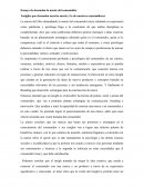 Ensayo de desnudan la mente del consumidor