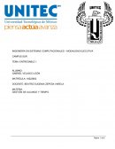 Manchester United Soccer Club