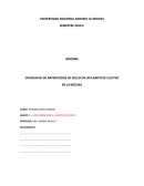 DIVERSIDAD DE ARTROPODOS DE SUELO EN UN CAMPO DE CULTIVO