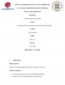 Comportamiento del consumidor y caracterología del consumidor