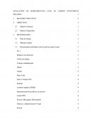 APLICACIÓN DE HERRAMIENTAS LEAN EN ANDINO INVESTMENT HOLDING
