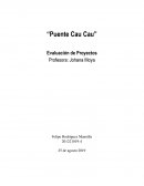 Puente Cau Cau - Evaluación de Proyectos