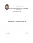 ANÁLISIS SOBRE EL GOBIERNO Y EL MERCADO