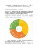 Riesgos Psicosociales COVID-19