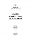 Caso Agropecuaria Montelíbeno