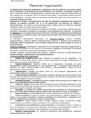 Resumen Organización Admon. Redes