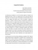 Inseguridad ciudadana