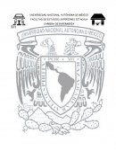 Profesionalización de enfermería en México y su perspectiva educativa