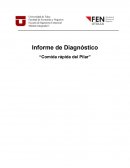 Informe de Diagnóstico “Comida rápida del Pilar”
