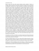 La educación en crisis