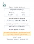 Implementación de un Programa de Desarrollo Organizacional