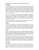 Ejemplos de factores que influyen el proceso de globalización