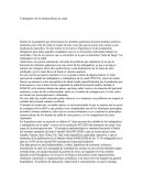 Trabajadores de la salud politicas de salud