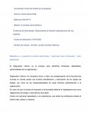 Evidencia de Aprendizaje: Desarrollando la filosofía organizacional de una empresa