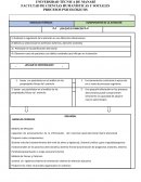 COMPONENTES DE LA ATENCIÓN