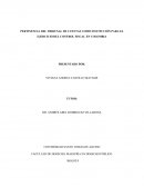 PERTINENCIA DEL TRIBUNAL DE CUENTAS COMO INSTITUCIÓN PARA EL EJERCICIO DEL CONTROL FISCAL EN COLOMBIA