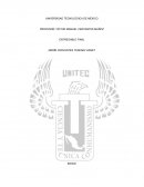 UNA PROPUESTA DE ANUNCIO PUBLICITARIO Caso Práctico