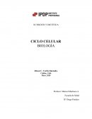 NUTRICIÓN Y DIETÉTICA . CICLO CELULAR BIOLOGÍA