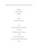 Tarea 3- Identificar los campos de acción de la profesión involucrando textos normativos