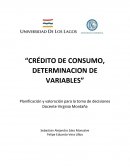 Crédito de consumo, determinacion de variables