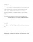 LOS MÚSCULOS ¿Qué es el sistema muscular?