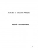 Inclusión en Educación Primaria