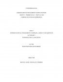 HABILIDADES DE PENSAMIENTO ESTRUCTURADO