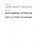 TRABAJO ESTILOS DE APRENDIZAJE Y TEORIA DE GARDNER
