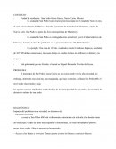 El municipio de San Pedro Garza García