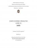 COMITE ECONÒMICO PRODUCTIVO (COVID 19)