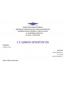 CUADROS SINOPTICOS