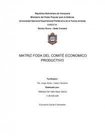 MATRIZ FODA DEL COMITÉ ECONOMICO PRODUCTIVO. Página 1