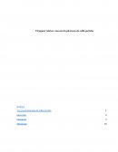 El juguete rabioso como picaresca argentina