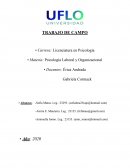 Psicología Laboral y Organizacional