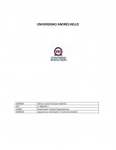 Estrategías de Michael Porter