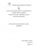 PRACTICA DE PSICOLOGIA INFANTO JUVENIL.