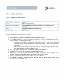 Analiza e identifica elementos claves del comportamiento del mercado