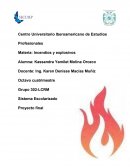 “Análisis comparativo de los principales métodos de evaluación del riesgo de incendio”