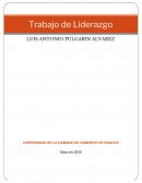 PRODUCTO;BICICLETA PROFIT BOSTON X-30