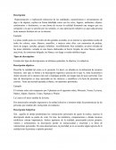 INFORME DE NARRACION Y DESCRPCION