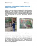 Análisis semiótico de pinturas expuestas en diferentes galerías de arte mediante el uso de los códigos