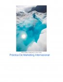 Práctica De Marketing Internacional