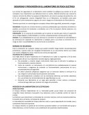 SEGURIDAD Y PREVENCIÓN EN EL LABORATORIO DE FÍSICA ELÉCTRICA