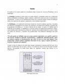 Analisis de suelo - Quimica Analitica