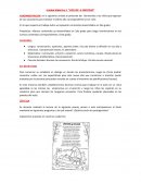 Unidad didáctica 1 “VOLVER A EMPEZAR”